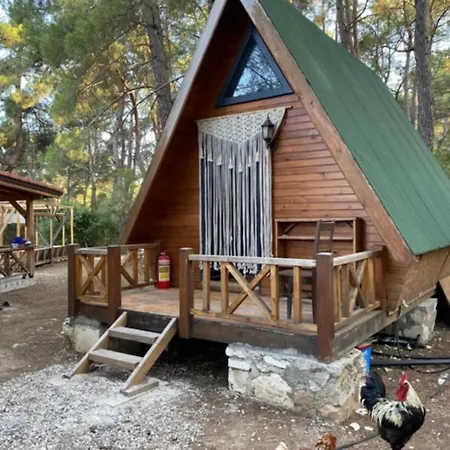 Camping Derman Bahcesi Eco *